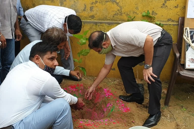 पौधरोपण और सफाई अभियान, Plantation and Cleaning Campaign