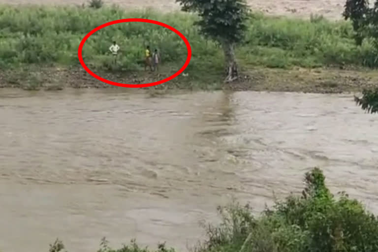 three-people-who-went-to-fishing-stuck-in-flood