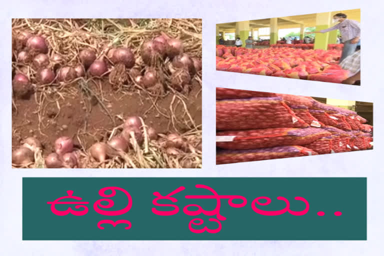 onion rates have been decreased due to corona in kurnool market