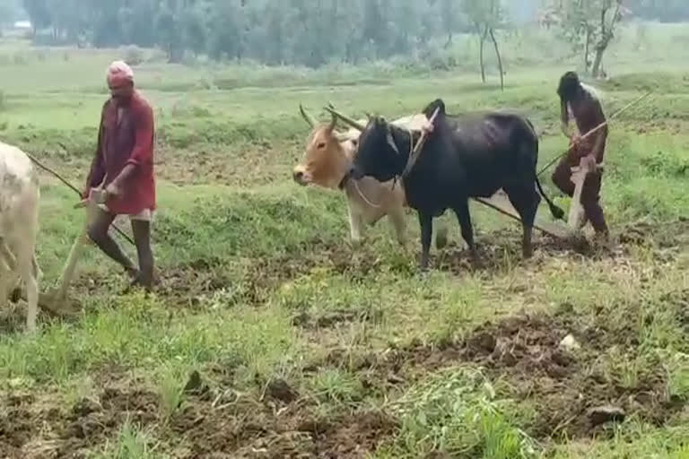 Farmers upset