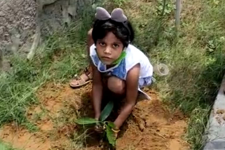 4-yr-old Delhi girl celebrates birthday by planting trees