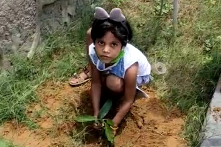 4-yr-old Delhi girl