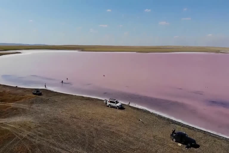 pink lake