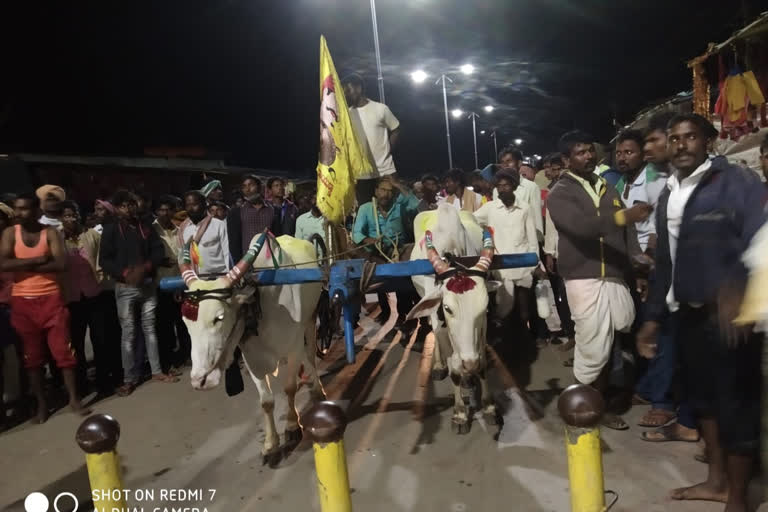 Koppal bullock cart race: A pair won travelling 90 km in 7 hours