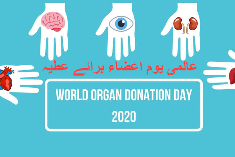 world organ donation day and covid-19