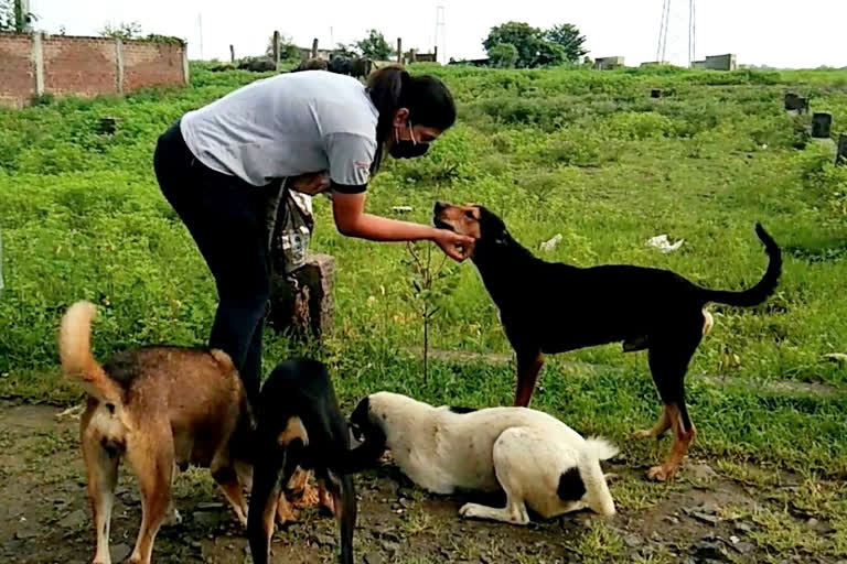 young girl from nagpur help dongs also during this corona crisis