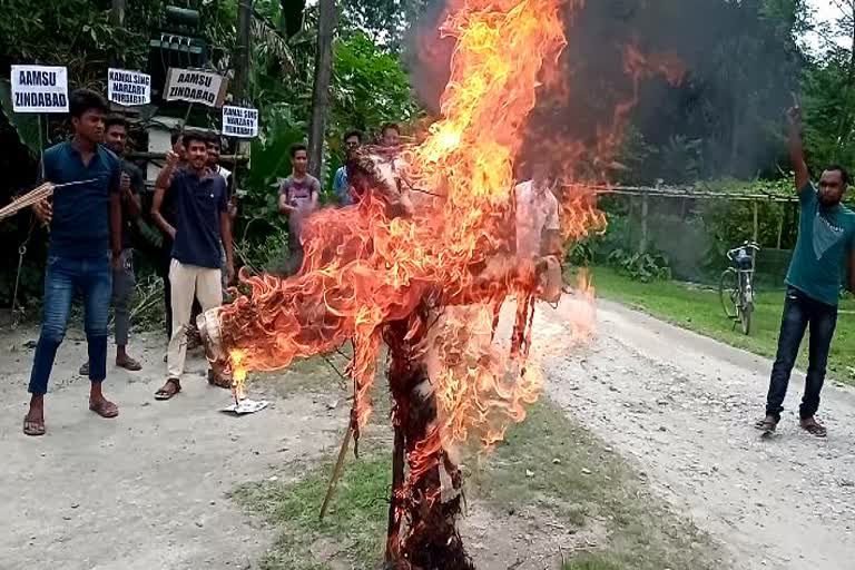 chirang-aamsu-burn-effigy-of-bijni-mla