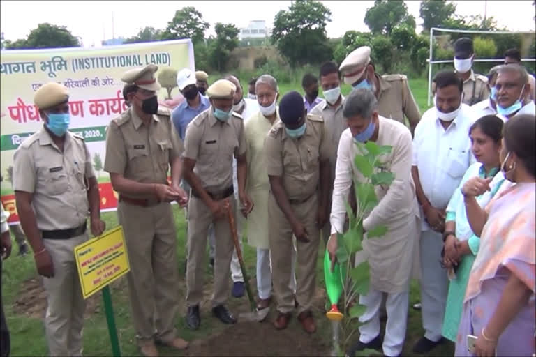 forest and education minister kanwarpal gurjar in plantation program palwal