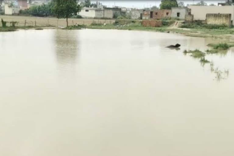 10 year old child dies in bahadurgarh due to drowning in rainy water