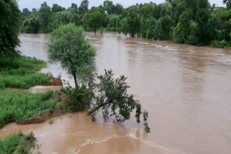 Karauli Rain News, करौली बारिश न्यूज