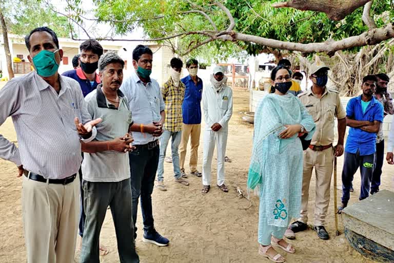 सिवाना की खबर  बाड़मेर की खबर  गायों की मौत  पादरु रोड  गौशाला में गायों की मौत  सिवाना उपखण्ड अधिकारी कुसुम लता चौहान  तहसीलदार शंकराराम गर्ग  news of siwana  news of barmer  cows died in padru road  cows died in cowshed  tehsildar shankaram garg