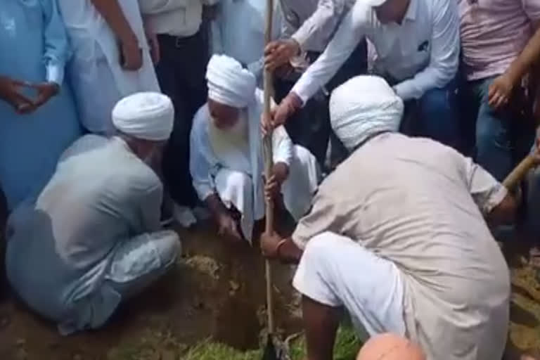 1200 Kachnar saplings planted at Kartarpur Corridor