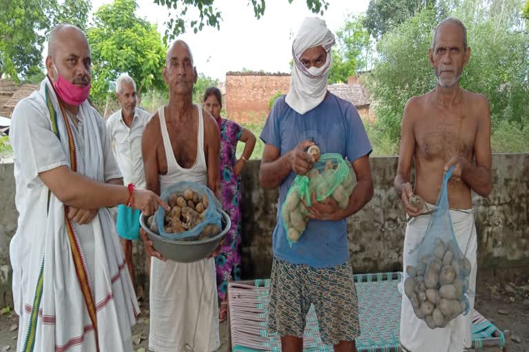 rotten potatoes were distributed in flood victims