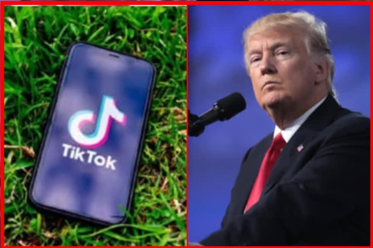 TRUMP TIKTOK