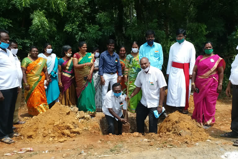 independence day tree plantation  குமரி மாவட்டச் செய்திகள்  சுதந்திர தினம்  அழகப்பபுரம் பசுமைத் திட்டம்  Kanyakumari district news