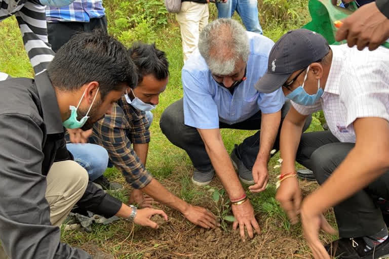 Youth Congress celebrated Independence Day by planting saplings in Shimla