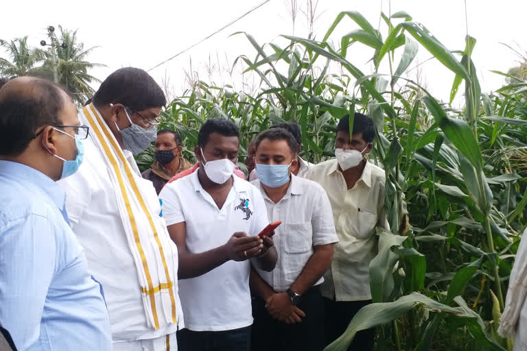 minister visit to huvinahalli village