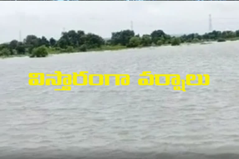 widespread rain in nizamabad district