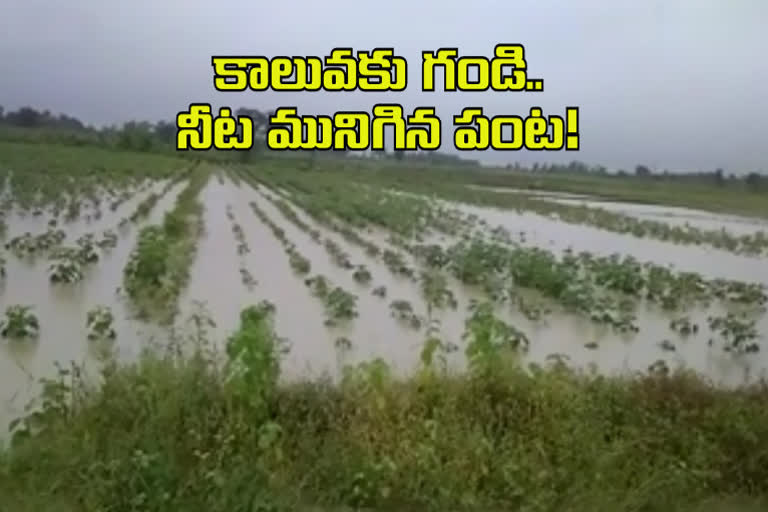 NSP Canal Break Down in Khammam District Madhira