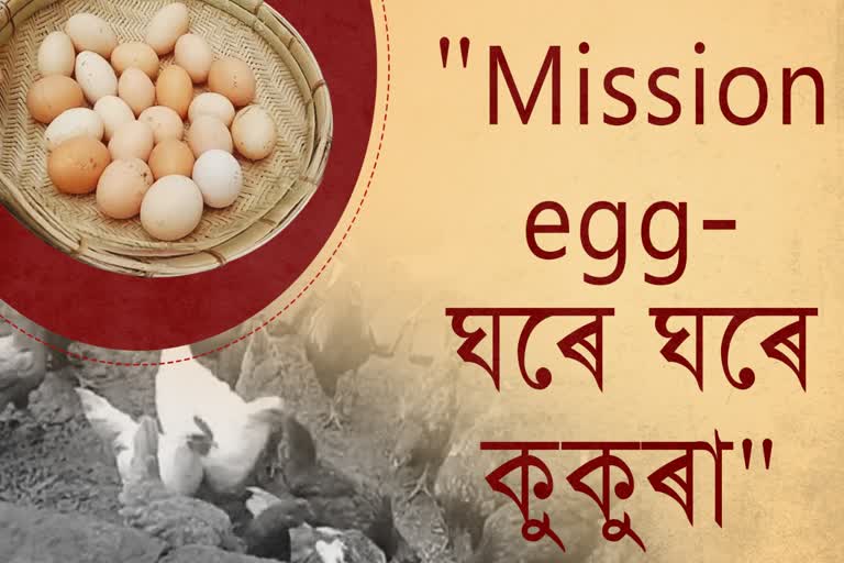 A self dependent mission Mission egg at Nazira