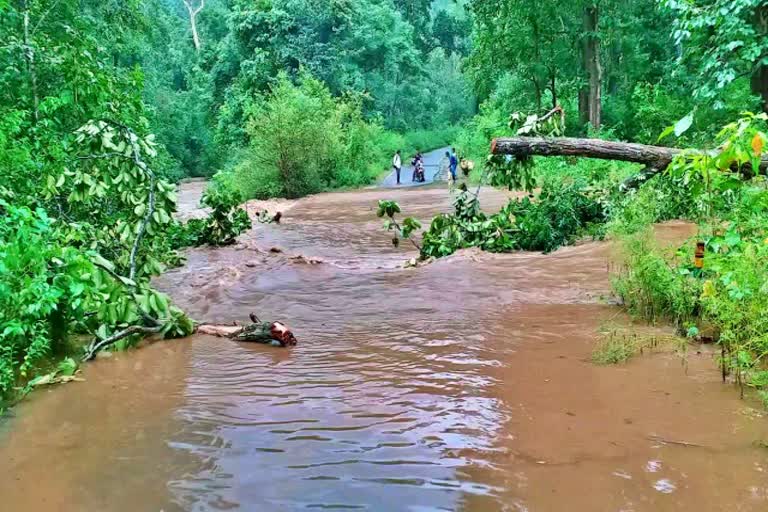 लातेहार: भारी बारिश से उफान पर नदियां