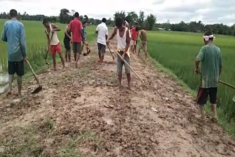 Public repaired a road at Moran in the independence day