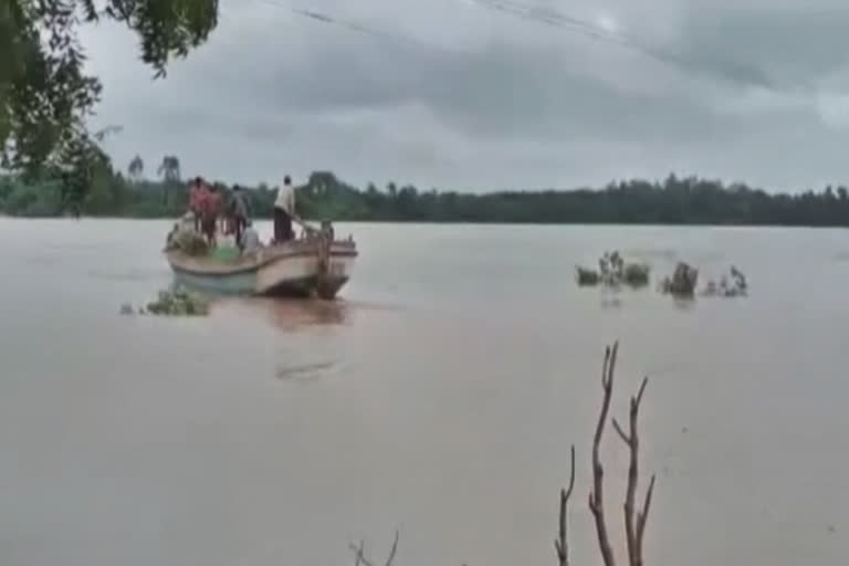 गोदावरीला पूर