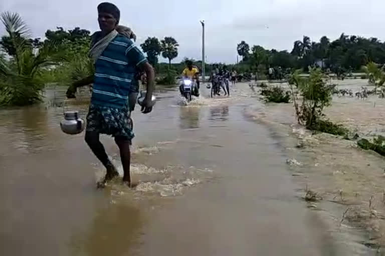 Godavari flood into the sea ... submerged crops