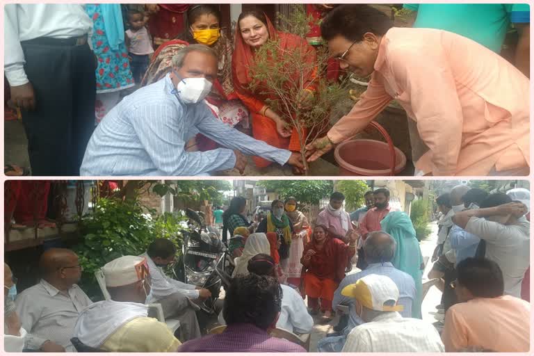 plantation in saraswati enclave by corporation councilor suraj antim gehlot