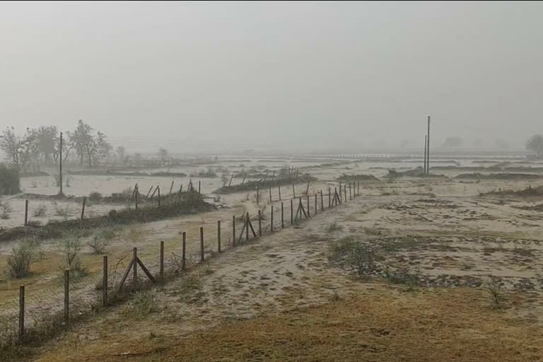 Heavy rain in Bemetra