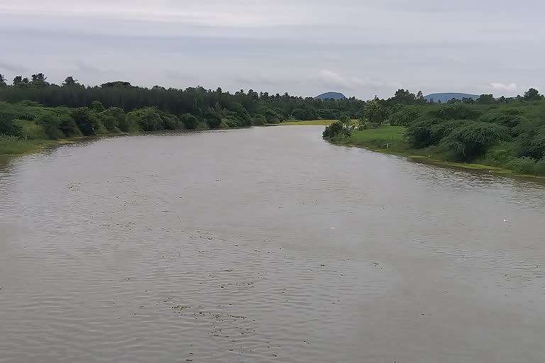 Heavy flow in Sharada River