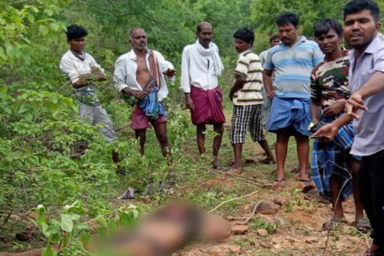 shepherd-died-from-wild-elephant-attack-at-chamarajangar