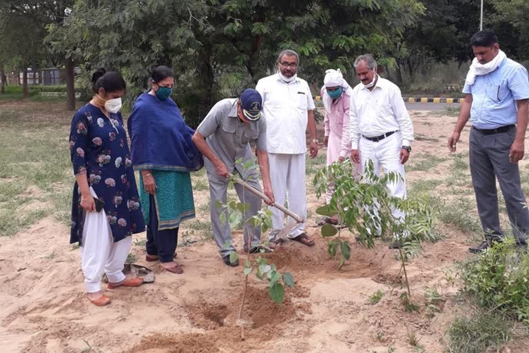 mp dp vats planted sapling on atal biharis death anniversary in hisar