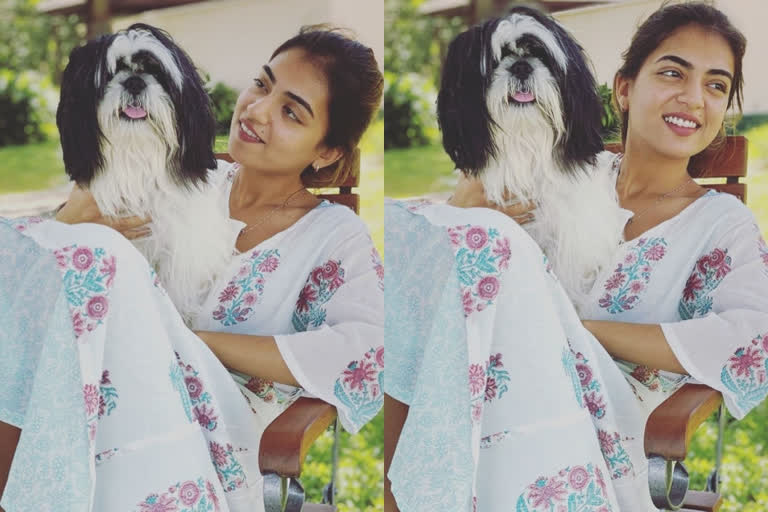 nazriya fahad pet dog oreo latest photo  nazriya fahad pet dog  fahad pet dog oreo  ഓറിയോയ്ക്കൊപ്പം ചില്ല്ഔട്ട് ചെയ്ത് നസ്രിയ  നസ്രിയ  ഫഹദ്-നസ്രിയ താരദമ്പതികളുടെ വളര്‍ത്തുനായ ഓറിയോ