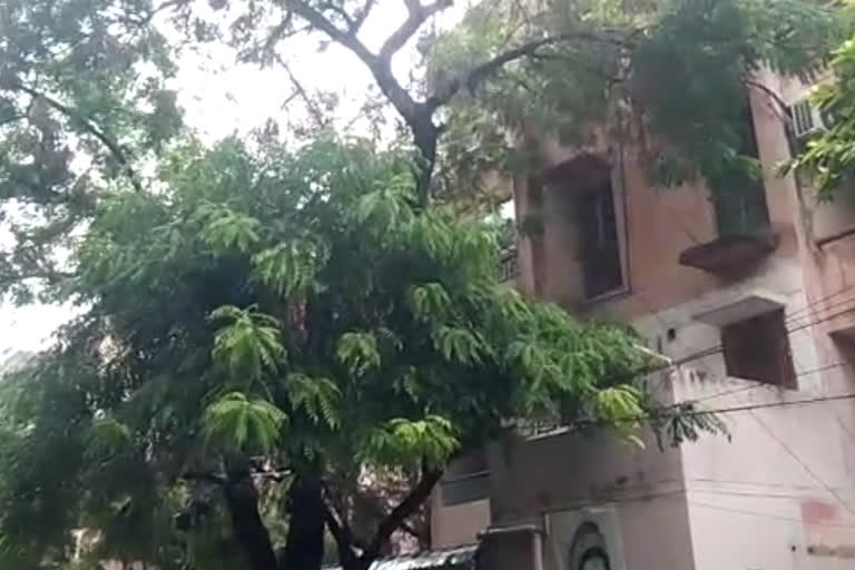 Residents of Akshardham apartments are upset with MCD due to no felling and pruning of trees