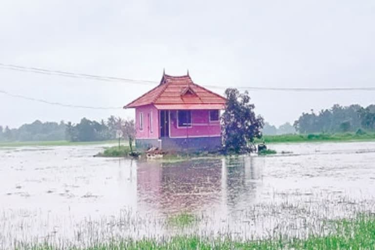 Eenadu houses protecting against floods in Kerala