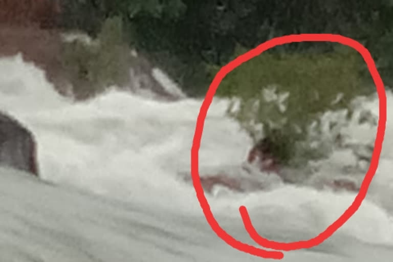 young man jumped in the Khuntaghat dam