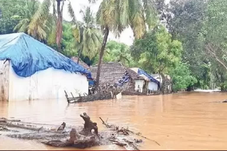 heavy flood in godavari at west godavari