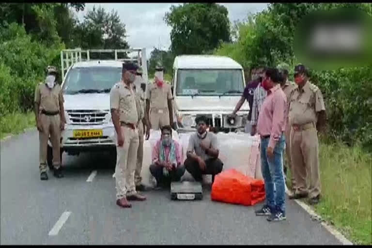 Odisha: 391 kg ganja recovered