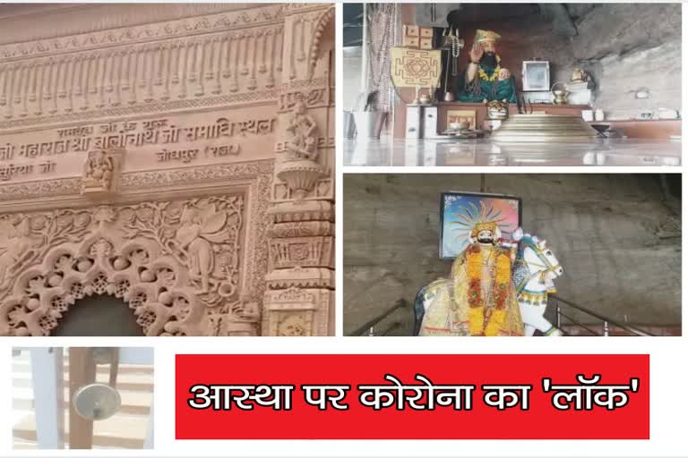 राजस्थान हिंदी न्यूज,  rajasthan news, jodhpur latest news