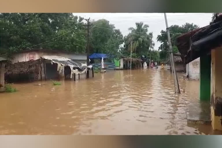 godavari floods at west godavari