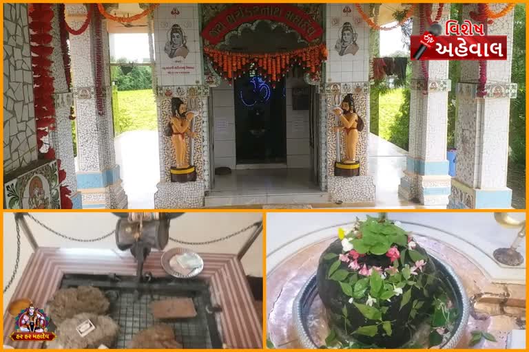 Darshan of Bhayankarnath Mahadev