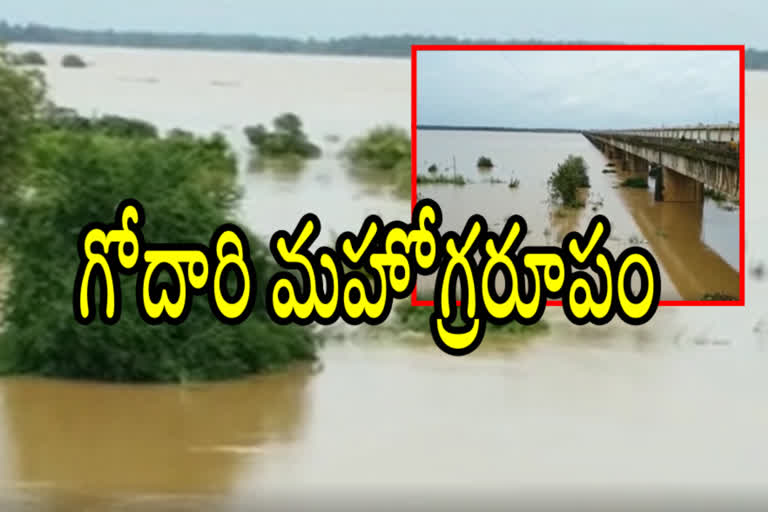 heavy flood in godavari