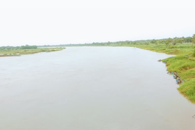 Flood panic in Krishna River banks