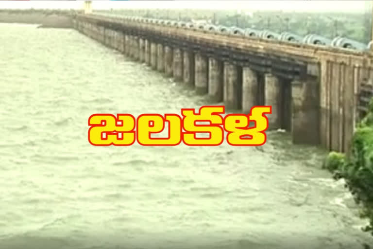 flood-water-flows-to-sriram-sagar-project