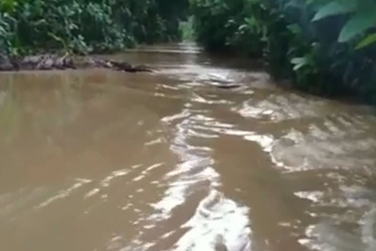 godavari flood effect in west godavari district villages