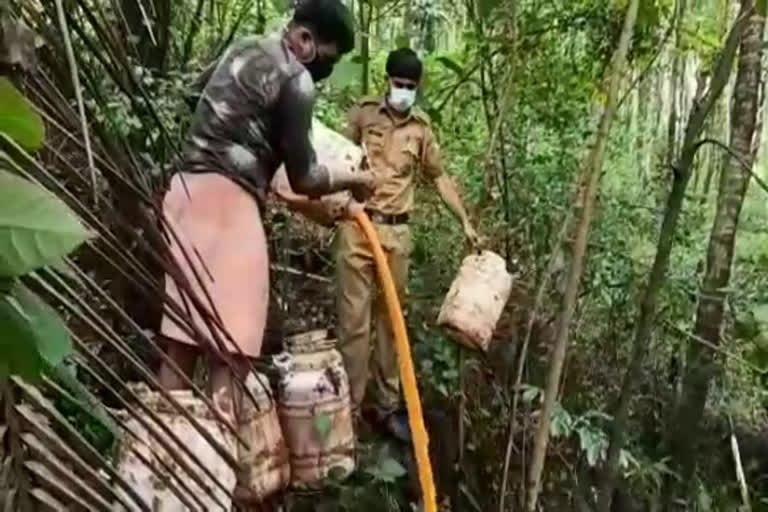 245 liters of wash was found and destroyed in Kannur  കണ്ണൂരിൽ 245 ലിറ്റർ വാഷ് കണ്ടെത്തി നശിപ്പിച്ചു  245 ലിറ്റർ വാഷ്  245 liters of wash