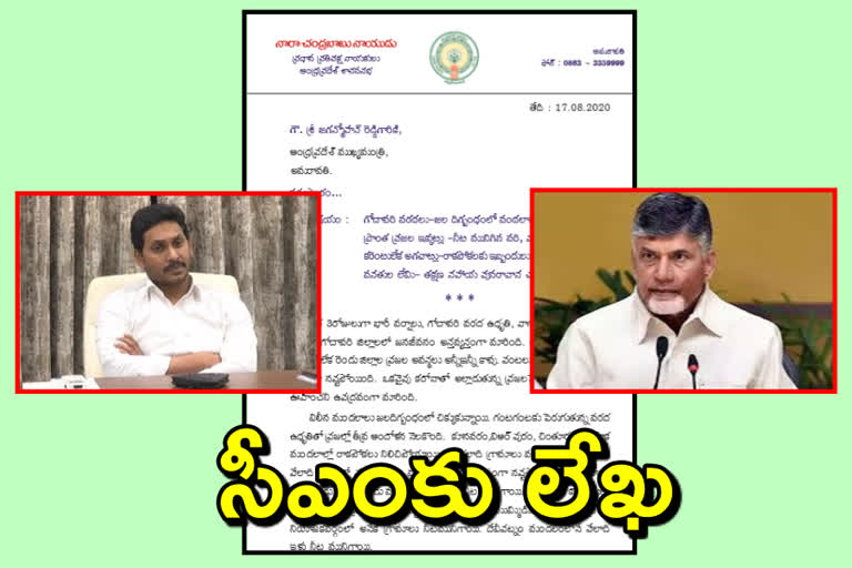 ఊహించని ఉపద్రవం.... బాధితుల్ని ఆదుకోండి : చంద్రబాబు