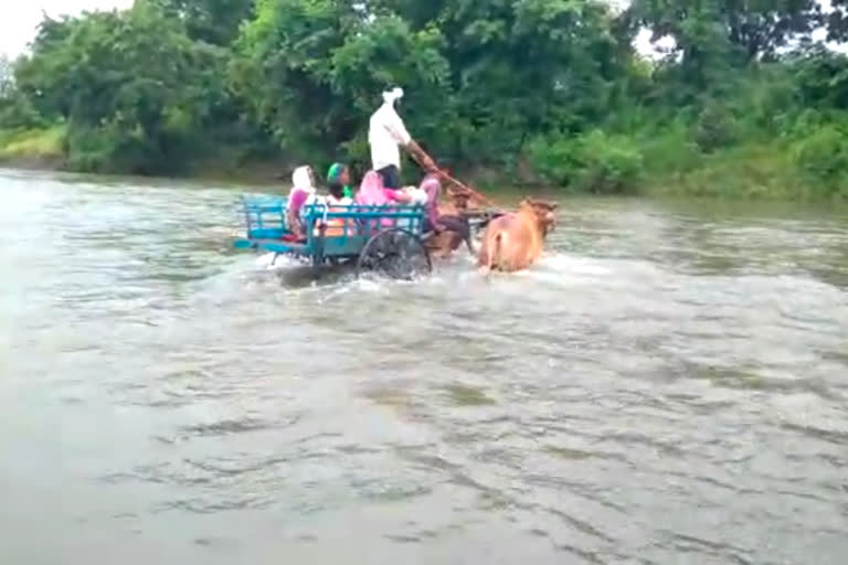 torrential-rains-in-jalgaon-district