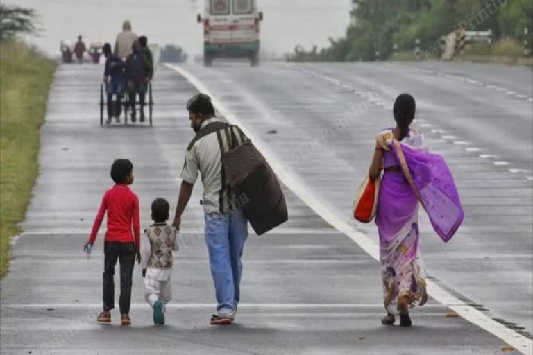 migrant workers corona test  in haryana